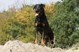 BEAUCERON 506